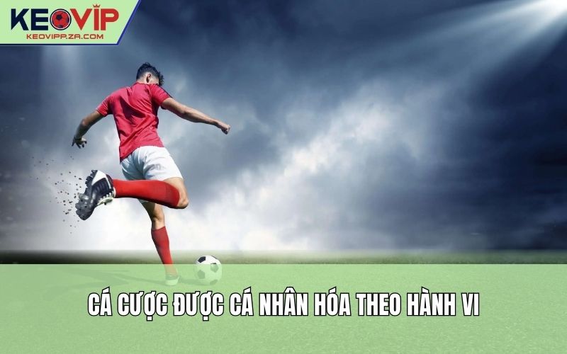 Cá cược được cá nhân hóa theo hành vi
