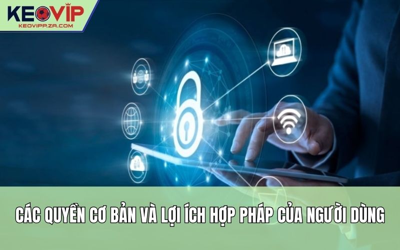 Các quyền cơ bản và lợi ích hợp pháp của người dùng