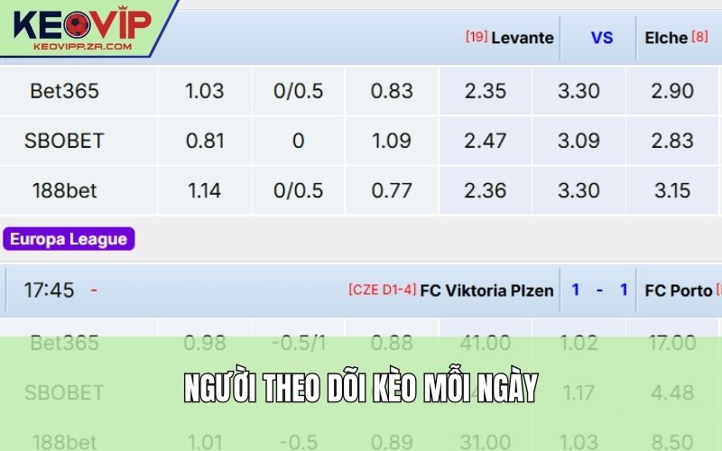 Người theo dõi kèo mỗi ngày