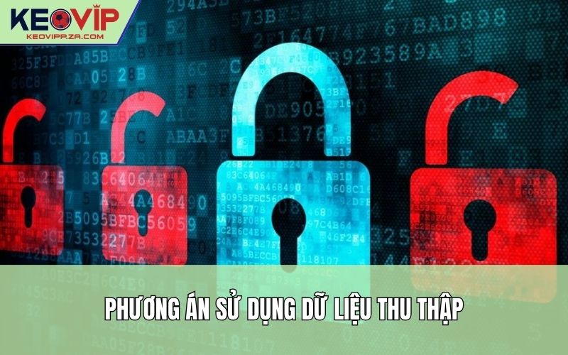 Phương án sử dụng dữ liệu thu thập