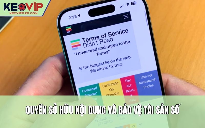 Quyền sở hữu nội dung và bảo vệ tài sản số