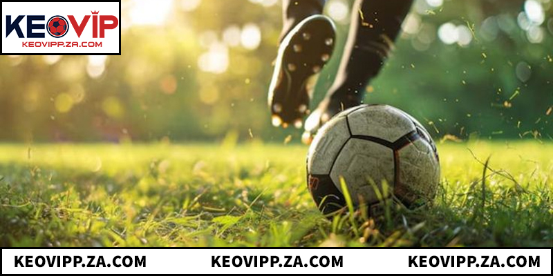 Nắm bắt rõ kèo chấp 2.5