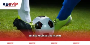 soi kèo Algérie & Áo WC 2026