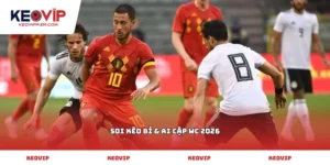 Soi kèo Bỉ & Ai Cập WC 2026