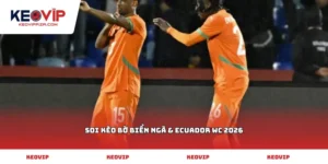 soi kèo Bờ Biển Ngà & Ecuador WC 2026
