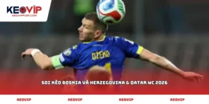 Soi kèo Bosnia và Herzegovina & Qatar WC 2026