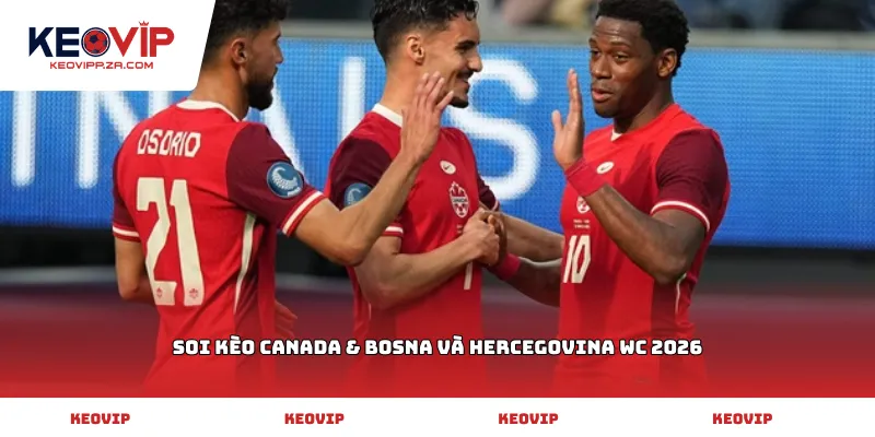 soi kèo Canada & Bosna và Hercegovina WC 2026