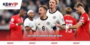 soi kèo Ecuador & Đức WC 2026