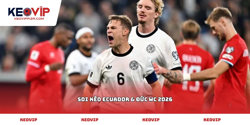 soi kèo Ecuador & Đức WC 2026