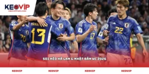 soi kèo Hà Lan & Nhật Bản WC 2026