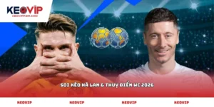 Soi kèo Hà Lan & Thuỵ Điển WC 2026