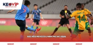Soi kèo Mexico & Nam Phi WC 2026