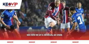 soi kèo Na Uy & Sénégal WC 2026