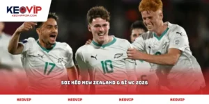 soi kèo New Zealand & Bỉ WC 2026