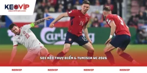 Soi kèo Thụy Điển & Tunisia WC 2026