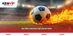soi kèo Tunisia & Hà Lan WC 2026