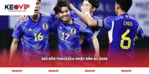 soi kèo Tunisia & Nhật Bản WC 2026