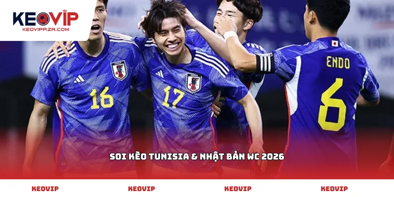 soi kèo Tunisia & Nhật Bản WC 2026