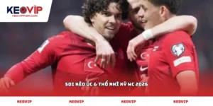 soi kèo Úc & Thổ Nhĩ Kỳ WC 2026