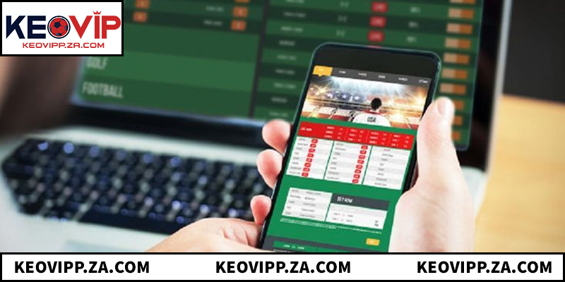 Tìm hiểu chi tiết về phần mềm soi kèo bóng đá